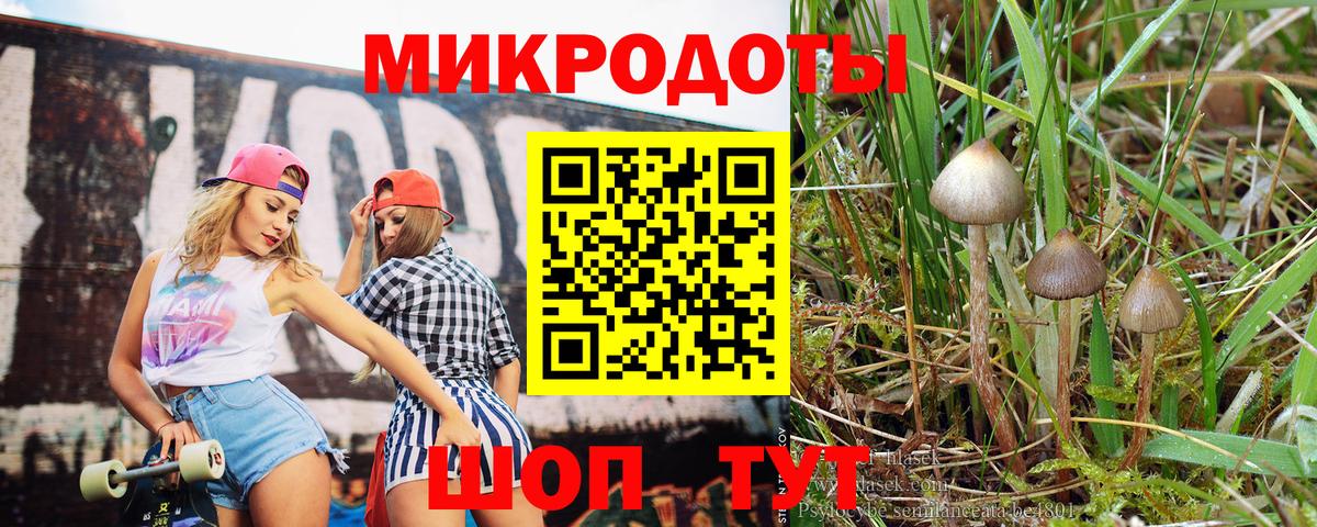Псилоцибиновые грибы GOLDEN TEACHER  Вход с VPN  Галлюциногенные грибы Psilocybe  Бутурлиновка 